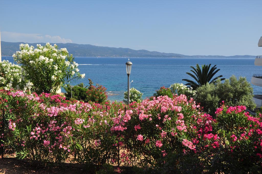 F2 Le Lavezzi Daire Ajaccio  Dış mekan fotoğraf
